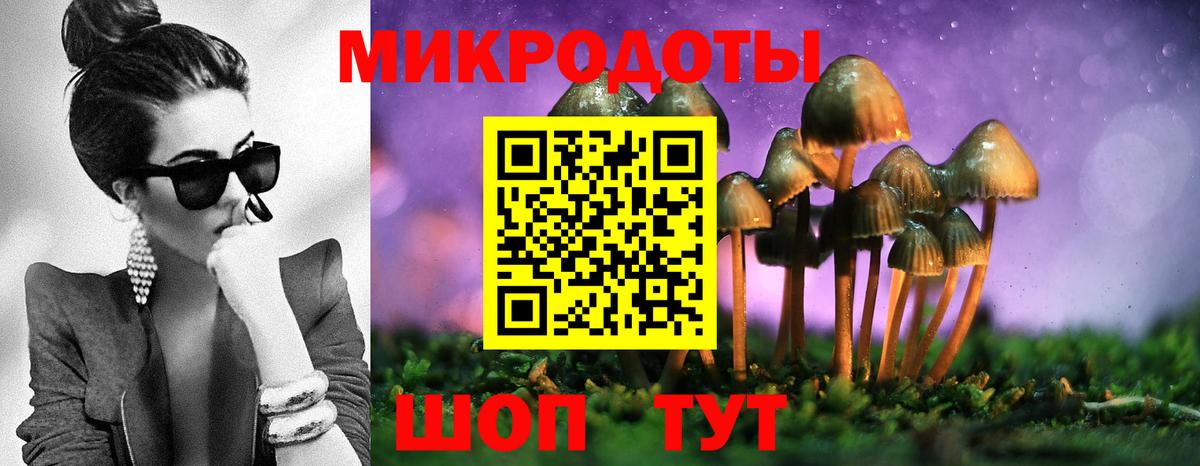 Псилоцибиновые грибы Psilocybine cubensis  Вход с VPN  Павловский Посад 